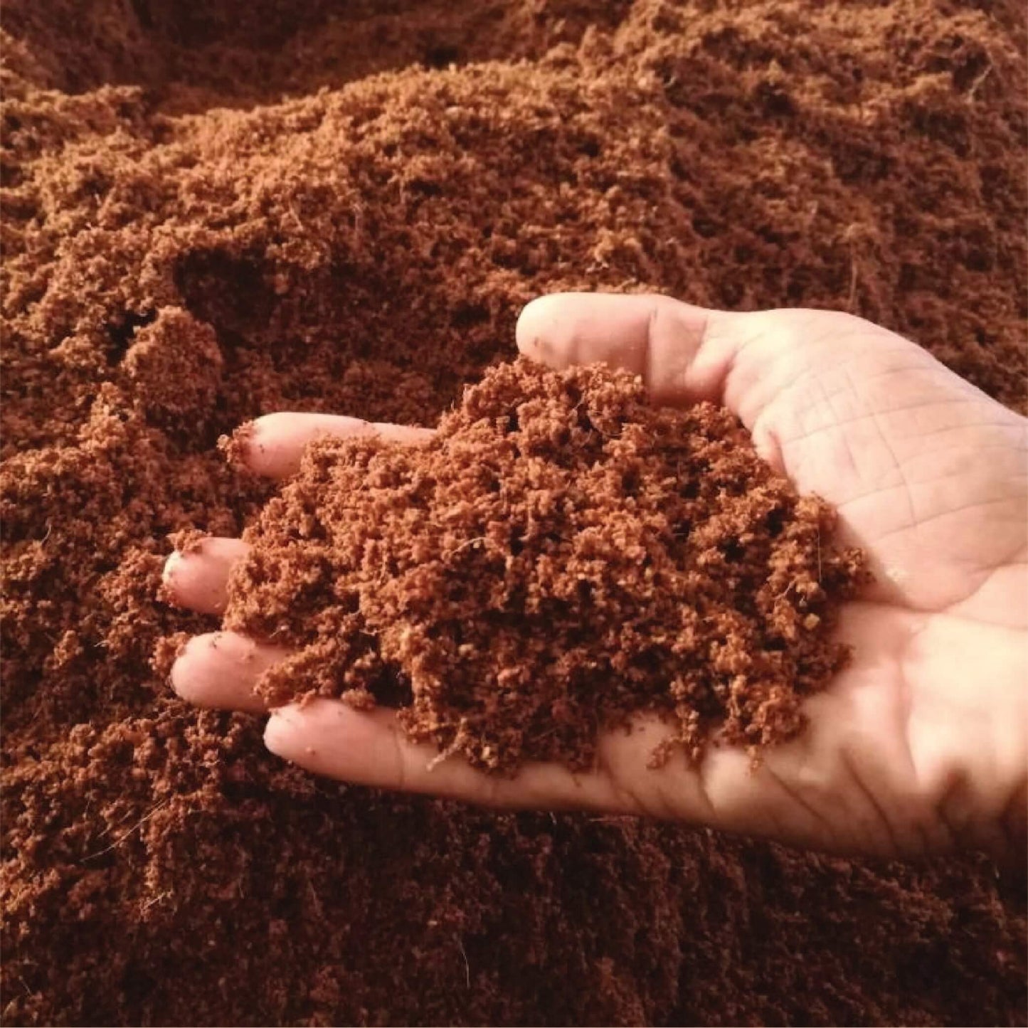 Cocopeat Powder ( Ready To Use) 500 GM