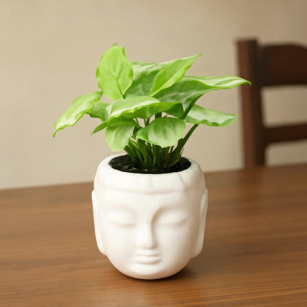 Syngonium Yammi in 4 Inch Ceramic Buddha Planter