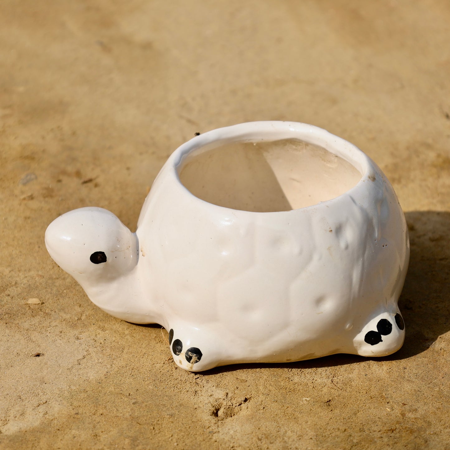 6 inch hand crafted turtle shape ceramic pot (any colour & Design)
