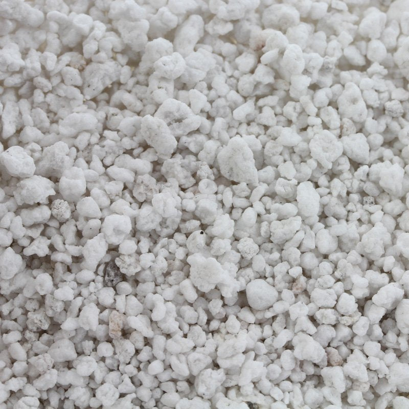 Perlite - 100 GM