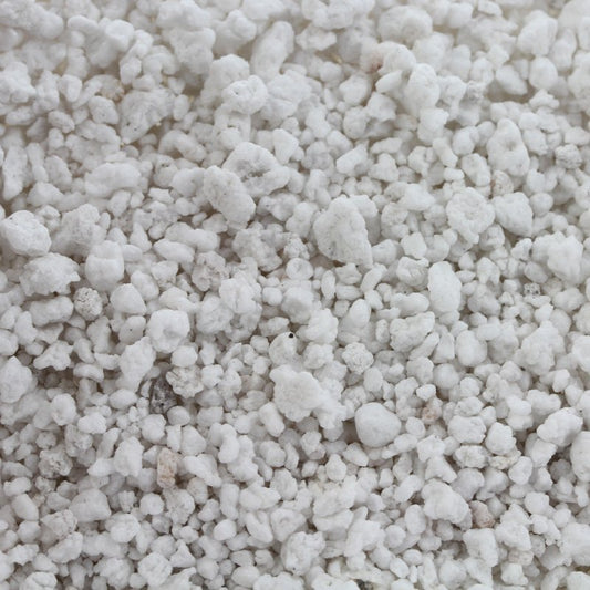 Perlite - 100 GM