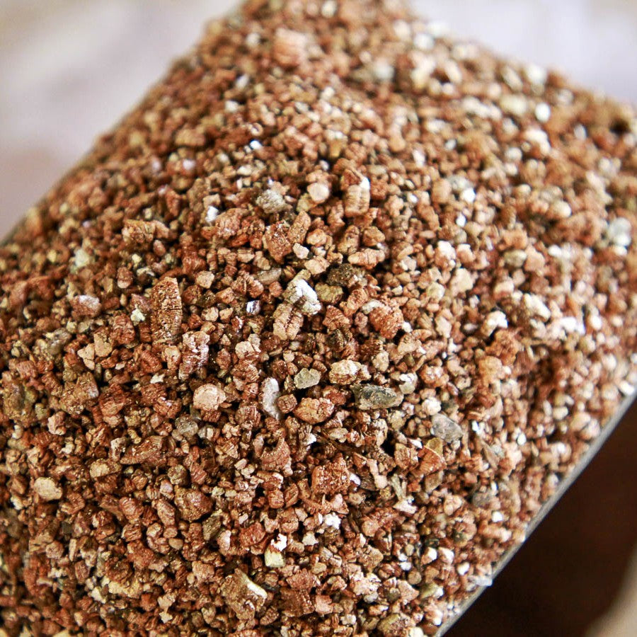 Vermiculite - 100 GM